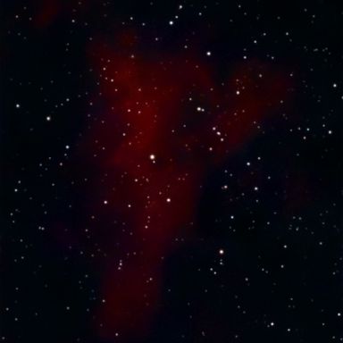 Night sky photo by Ismael Cormier